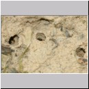 B-alte Nester 01.jpg